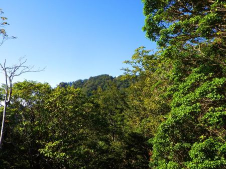 ここから再び下りになるんだけど向かいに見えてる反射板の山のピークが笠捨山かな！？