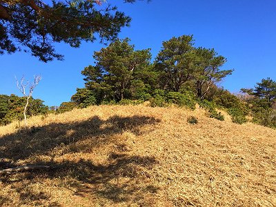 稜線、縦走路にでた