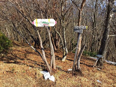 伊勢辻山(1290m)に到着