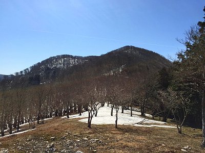 ここから国見山への登りが始まる