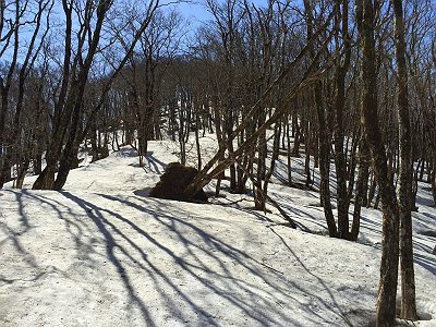 ここはたっぷり雪が残っていた。あまりハマらなかったが、やっぱ歩きにくかったしちょいしんどかった