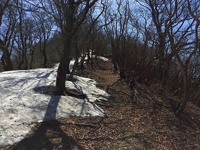 国見山のほうがしんどいと思いきや、この水無山の登りのほうがしんどく感じた