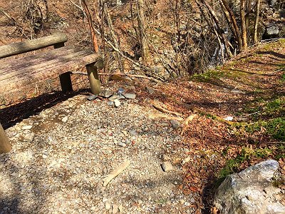 以前ここにあったものがなくなっていた。みかんの皮と・・・