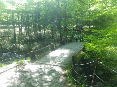 直接マブシ嶺に行くために尾鷲辻に向かう。帰りはこの橋付近がいつも時間的に真ん中なんだけど、行きはもう少し先になるね