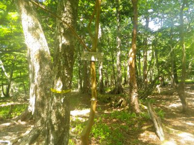 一番高いところから少し外れたところに堂倉山山頂(1470m)のプレートがあった。ちなみにこのプレートは堂倉中継局の設備がある近くにある