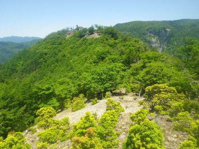 P1402は見えてるピークのさらに先なんだけど、このピークを登ると道がなくなるので無理矢理行かないといけない