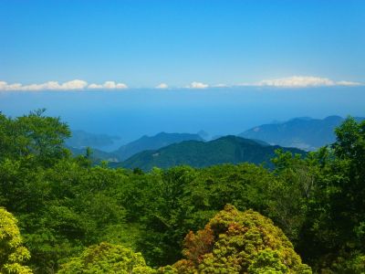 尾鷲側の展望を撮影してみると海と右側は尾鷲の街だと思うが距離的に近い。さすが尾鷲に近くなっただけあるね