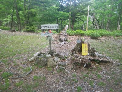 シラサコまで戻ってきた。ぶっとおしでここまで歩いてきたのでここで休憩をとることにした