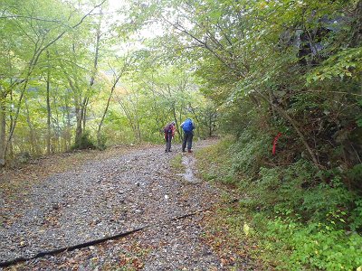 相変わらず金引橋分岐まではダルい道