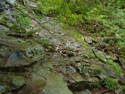 ここも滑りやすいので注意