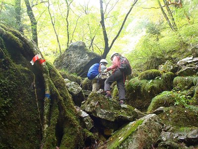 登って沢を巻く