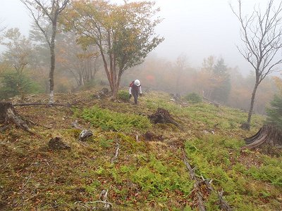 ここからは地図にないルートで道なき道を登る