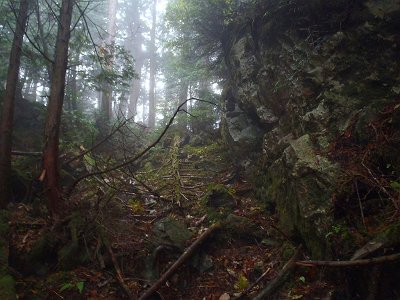 ピンクテープは貼ってあるのでそれにしたがって稜線を進む