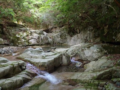 なかなかいい沢ぽい