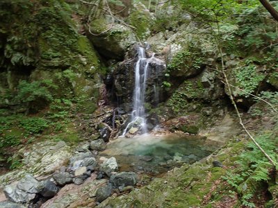 ここは左岸から巻けますがあえて左側から登っていく