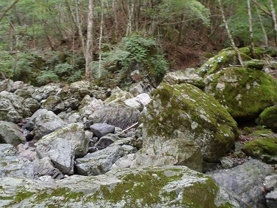 二俣のペンキが見えた