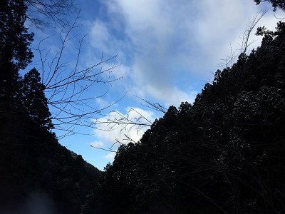 後ろを振り向くと晴れているのに明神平方面は雲っていた