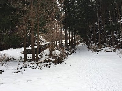 ここから橋を渡ると登山道らしくなる