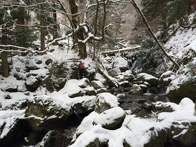 さらに沢渡りと梯子。ここ積雪あると結構難易度あがる