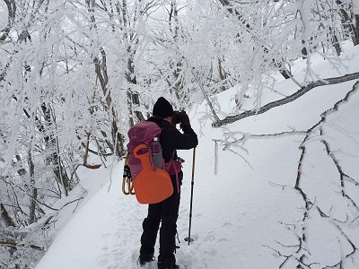 樹氷を撮影しながら歩く