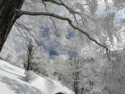 ちょっと青空の期待が・・・