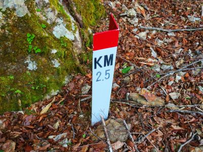 ゲートから林道を2.5KMきたということになるのか！？