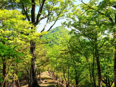 証誠無漏岳からの下り。おそらく中央に見えてる次に登るピークが涅槃岳だろう