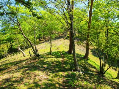 涅槃岳への登り開始。ちょっと大峰らしい道になったかな。でもまだ序の口