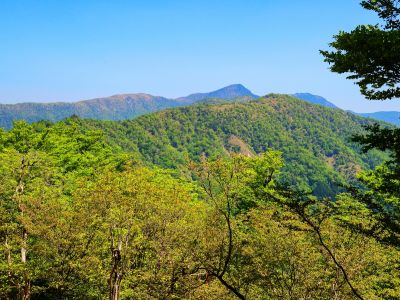 手前が次行く地蔵岳、奥は形的に釈迦ヶ岳だろう。釈迦ヶ岳の左側はおそらく古田の森付近なはず