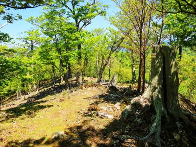 だんだん大峰らしい風景になってきた。開けた道になってくる