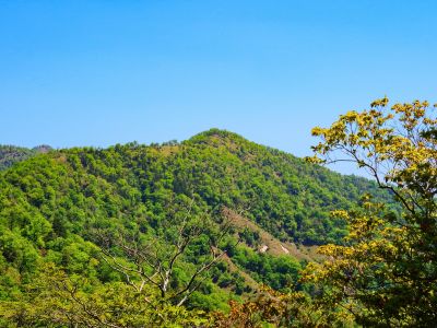 地蔵岳アップ。あのはげた部分を歩いてみたいな。きっと展望良さそうだし歩いていて気持ちよさそう
