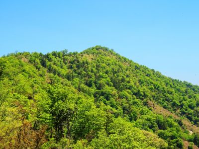 そろそろ地蔵岳が近くなってきたけど、まだもう少しある稜線を左から回り込んでいかないといけない