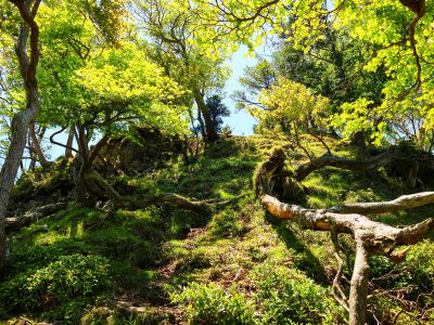 般若岳への登りは急登だけど距離はすぐ近く。上に登ると展望がありそうな雰囲気