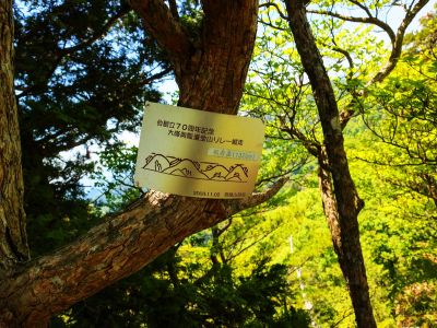 般若岳のピークに立っても樹林が邪魔して展望なし