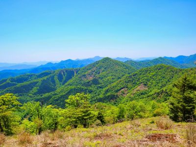 南東側の展望。何の山が見えてるのかわからん