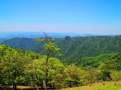 ここで北西側の展望が見えた。あのでっぱった山はなんだろうな
