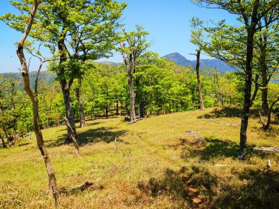 天狗の稽古場までは地蔵岳を北側に少しくだっていったところにある