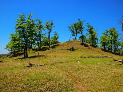 天狗の稽古場の全体を撮ってみた。ここ本当に雰囲気がいい場所だね。さすがは大峰