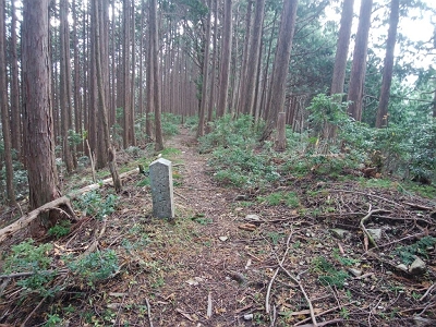 なだらかな尾根道が続くと同時に丁石があった。これ一体どこまで続くんだろうか