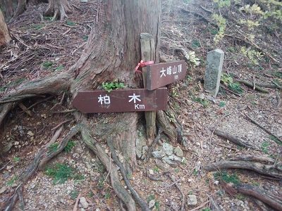 これ距離が書いてないねえ