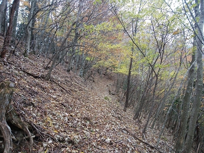 すっかり秋の色ですな