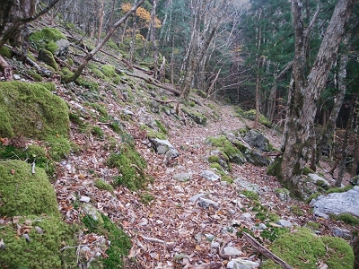 やっと大峰らしい風景になってきた