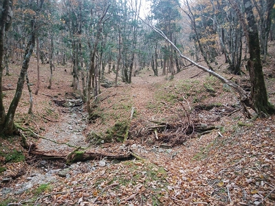 だだっ広いところにたどり着く。ここ左手にもテープがあり迷いそうだが、とにかく丁石がある道へと歩いていく