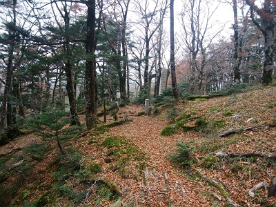 奥駈道に出ました