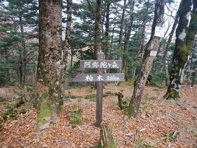 奥駈道に出たところで、阿弥陀ヶ森に到着