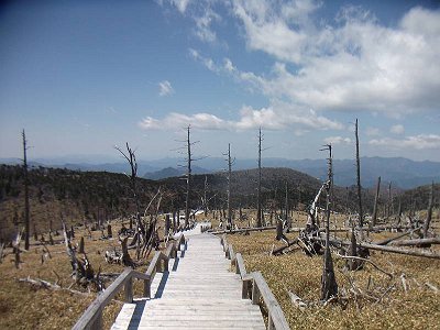 ここからの景色がもう・・・