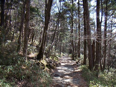 まずはなだらかな登り～♪