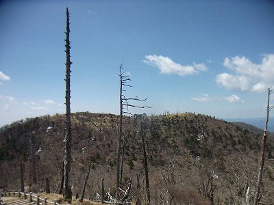 後ろを振り向くとこれから向かう正木ヶ原への道