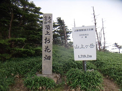 山上ヶ岳山頂（この裏側のピークに三角点あり）
