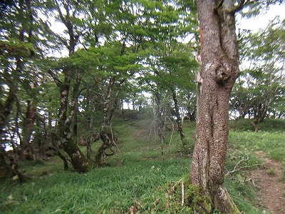 三角点へ・・・